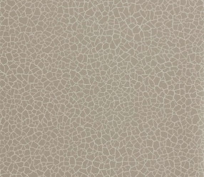 Обои Zoffany Oblique 312835